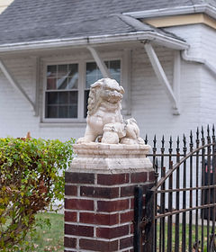 Lion.jpg