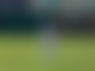 Orioles MiLB Transaction Update: January 20