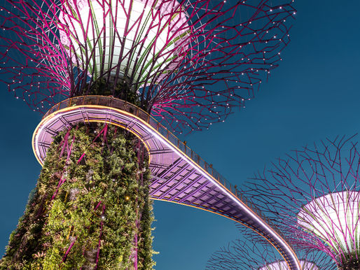 What lessons can be learnt from the Singapore Smart city program?