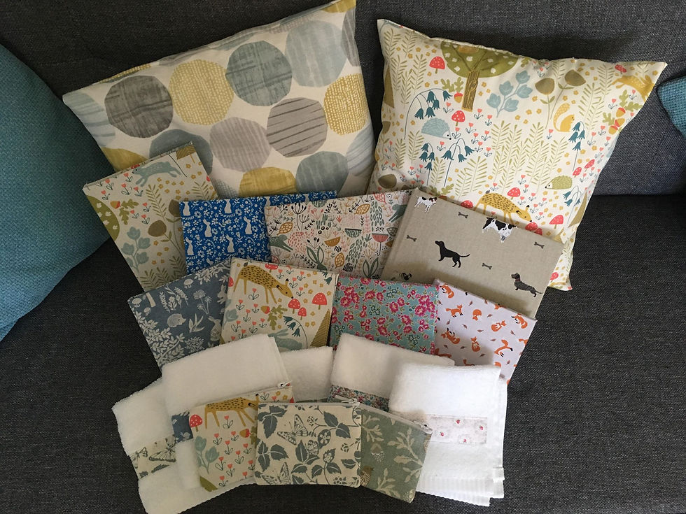 53110978_2072958859461848_355543895343366144_n