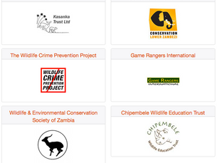 Over $110,000.00 Raised for Local Charities by the ‘Fuch’s Elephant Charge’ -Thanks from Bushtracks!