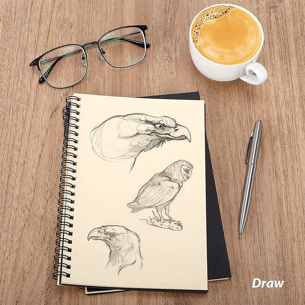 Thumbnail: INNAXA A5 Blank Notebook | 100 GSM Paper | Black Cover  (Pack-2)