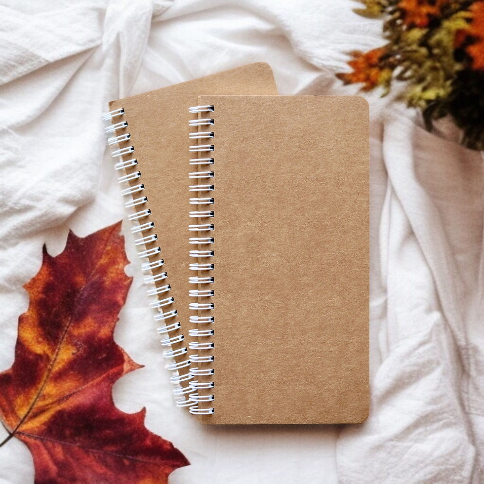 Thumbnail: INNAXA H5 Brown Grid Spiral Notebook (Pack-2 )