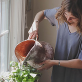 Watering Indoor Plants