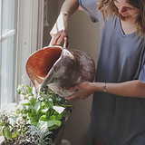 Arroser les plantes d'intérieur