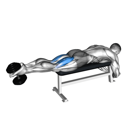 Dumbbell Leg Curl.gif