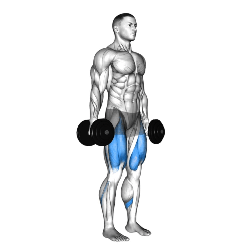 Dumbbell Squat.gif
