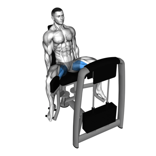 Inner Thigh Machine.gif