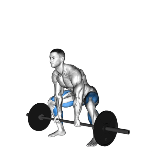 Sumo Deadlift.gif