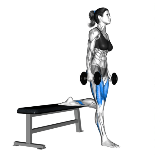Dumbbell Bulgarian Split Squat.gif