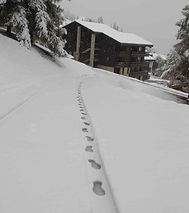 Pas neige copie_edited.jpg