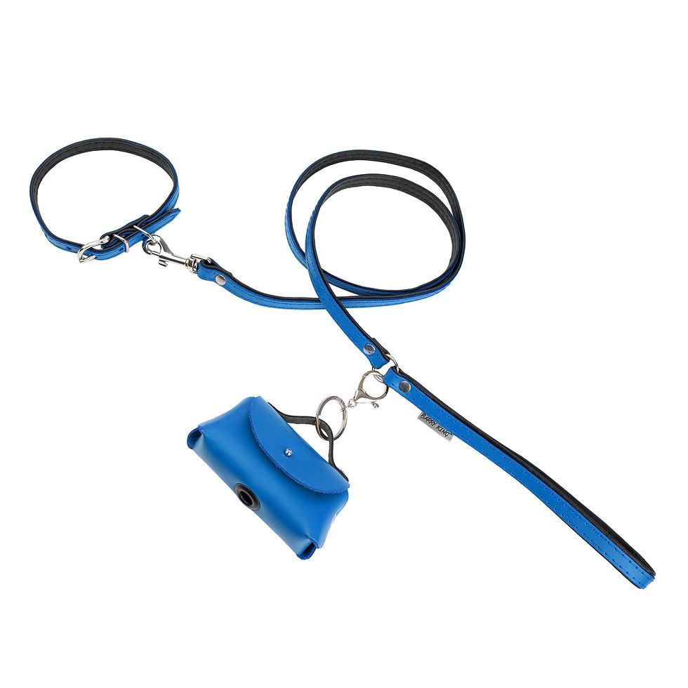 Thumbnail: Leather dog leash,blue black