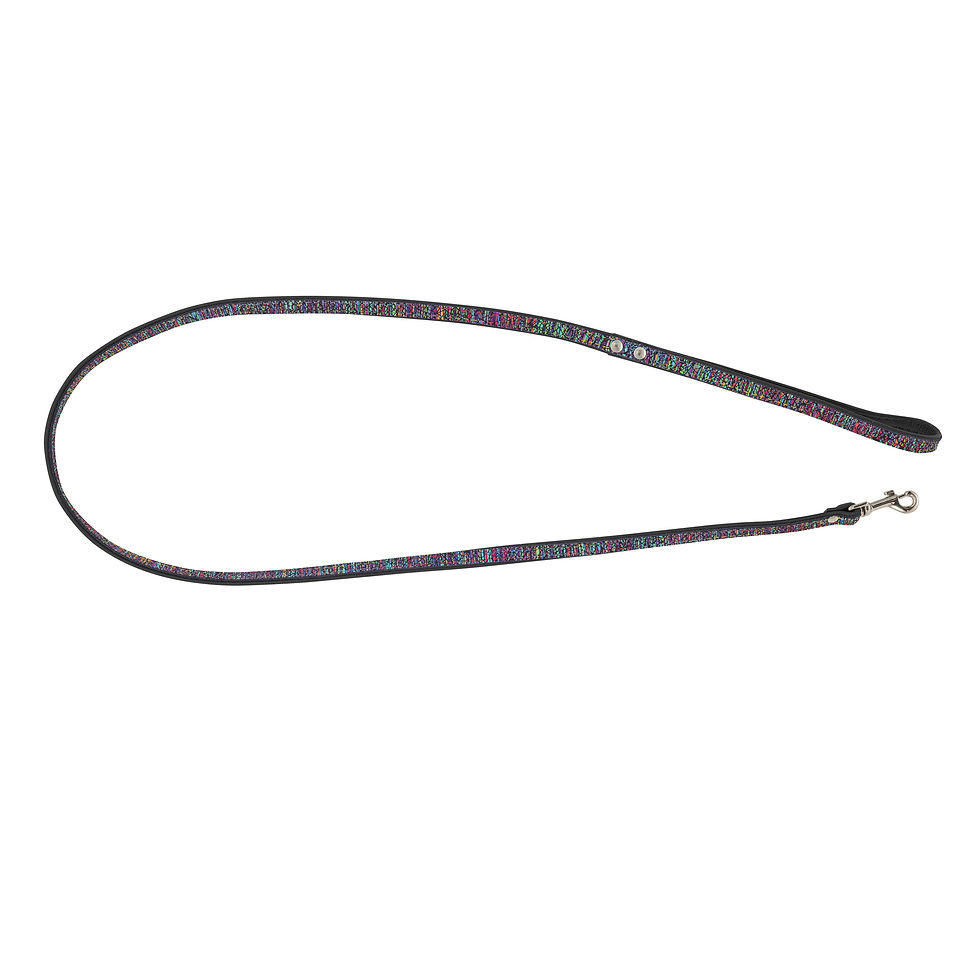Thumbnail: Dog leash leather Laser