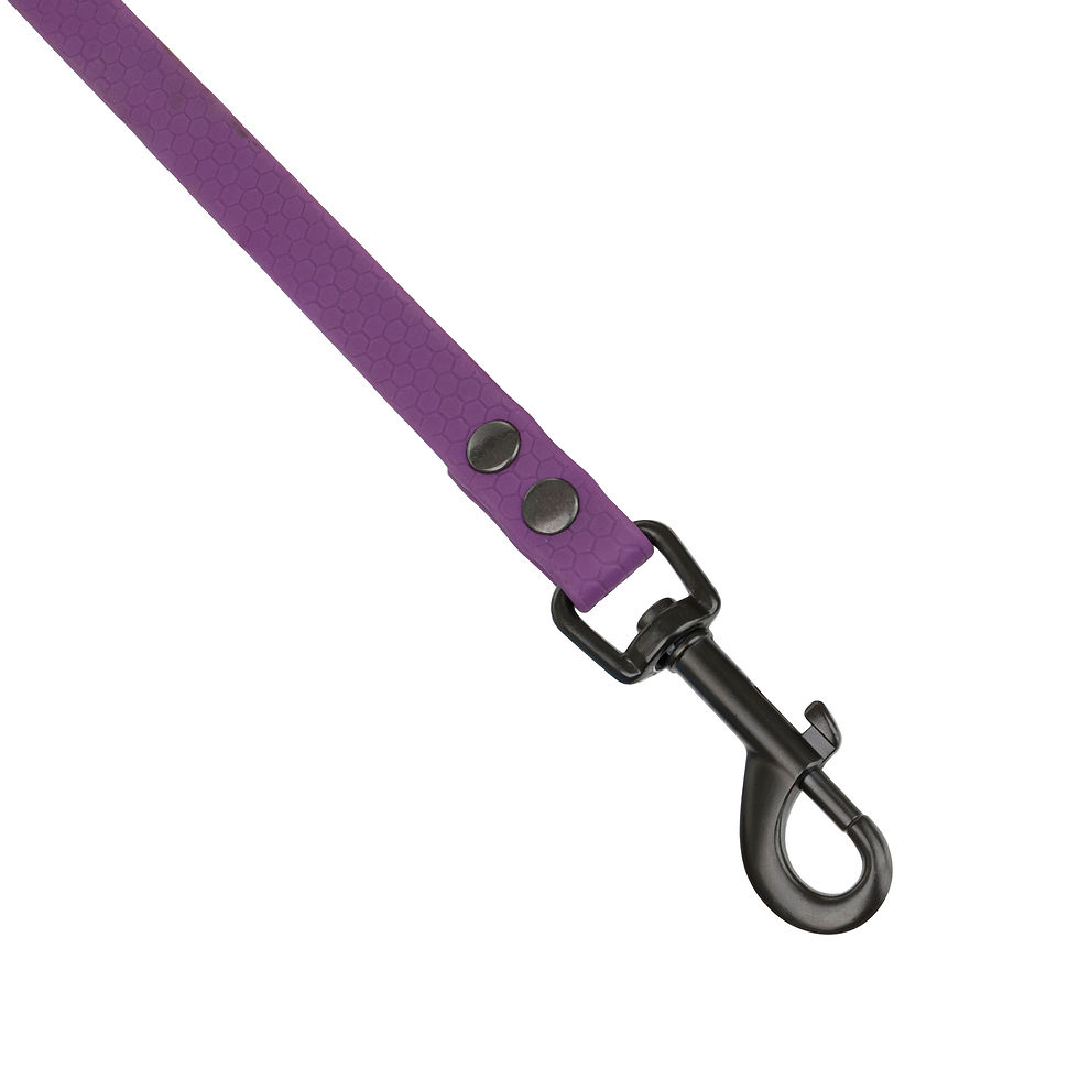 Thumbnail: Dog leash z wytrzysmallj gumy,purple,16mm/ 1.2m