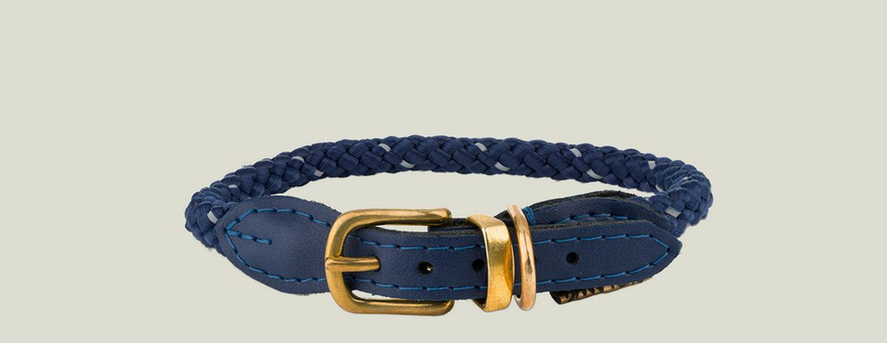 Obroża dla psa marki Barry King