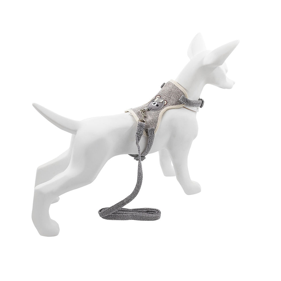 Thumbnail: Harness and leash set,for dogs cata,grey,polyester bawelna