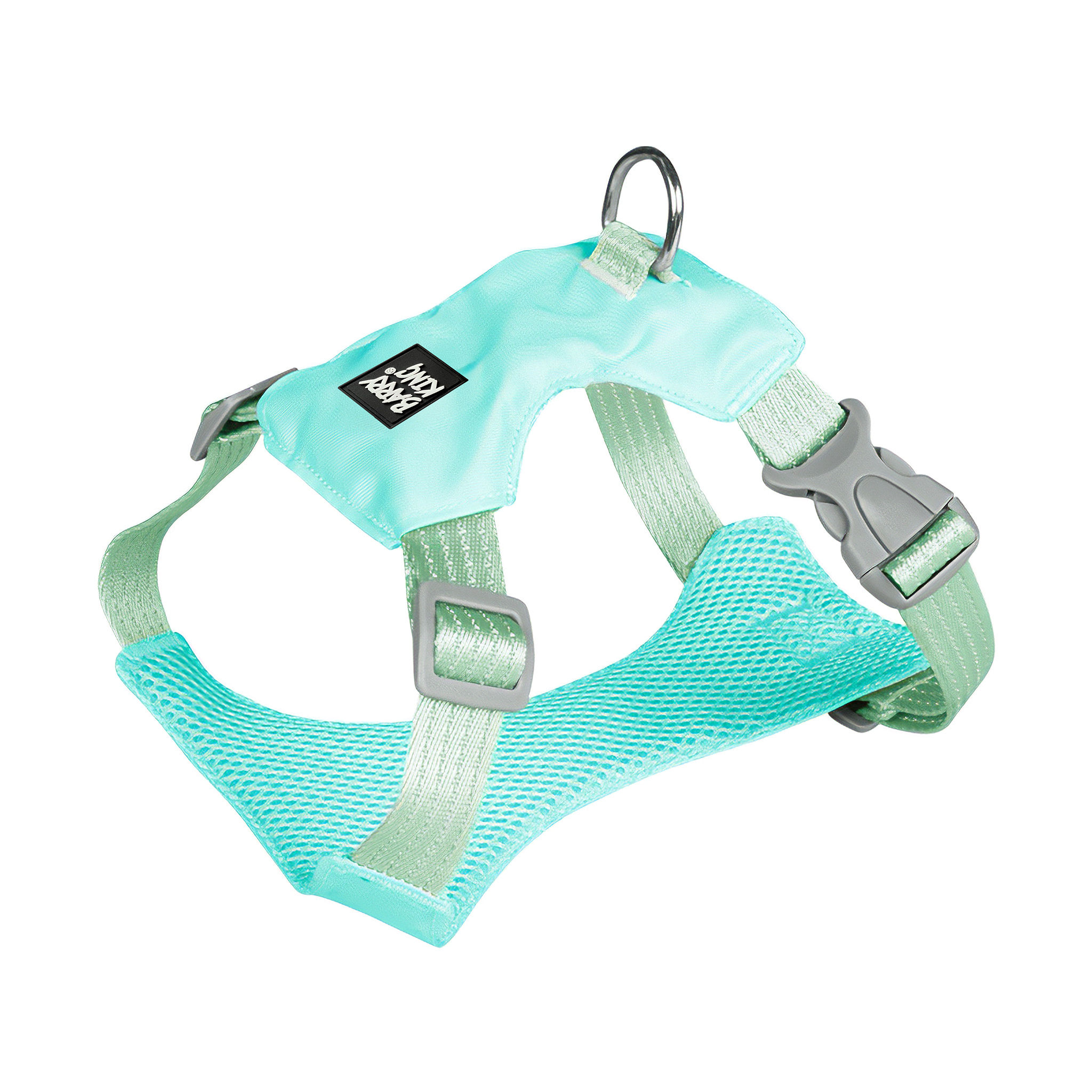 Harness,for dogs,small rasy,blue,typ no pull