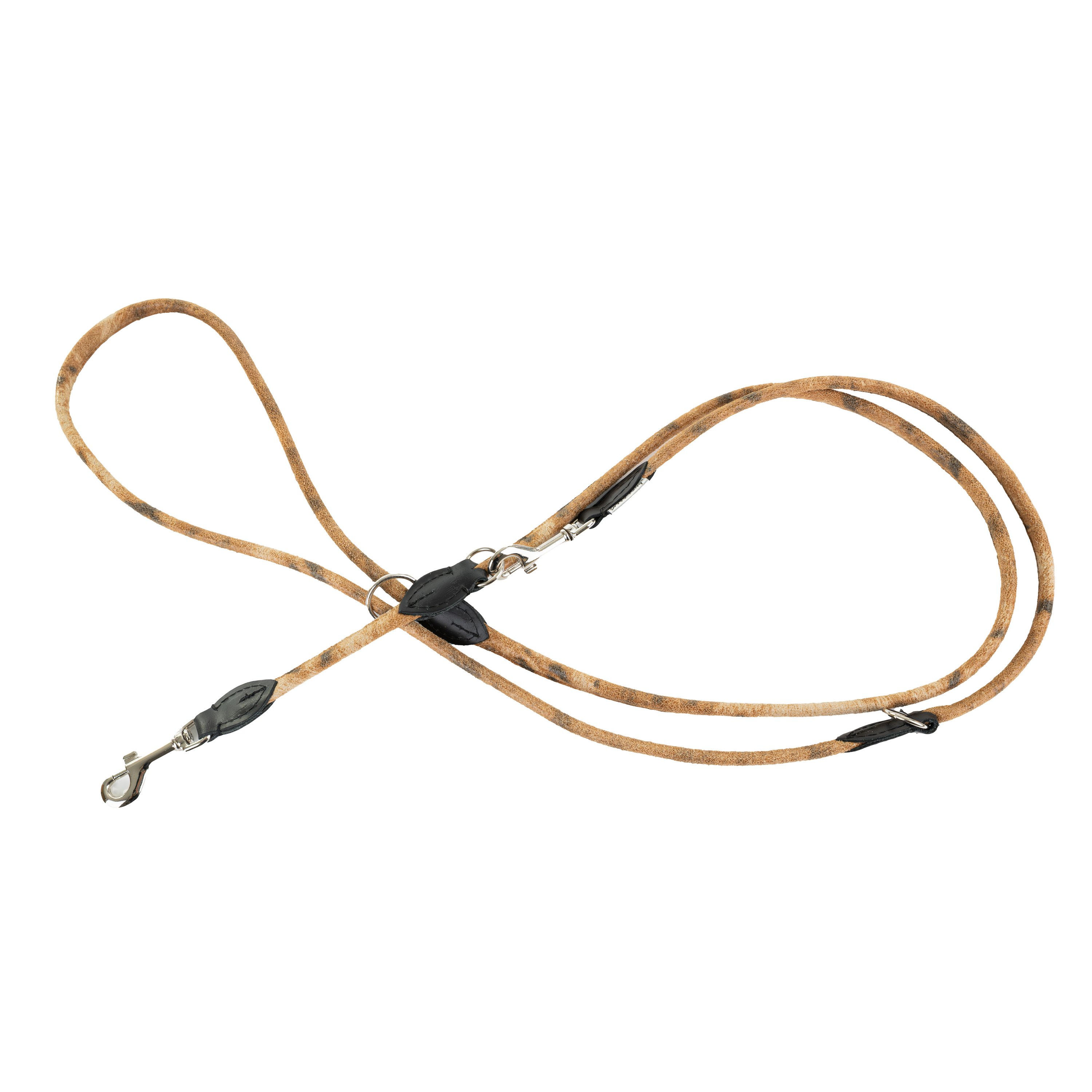 Dog leash,pattern LION,adjustable round