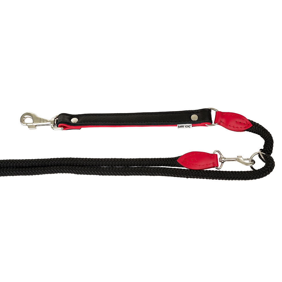 Thumbnail: Leash adjustable leather Los "STRONG" 25mm/ 12/ 220cm red