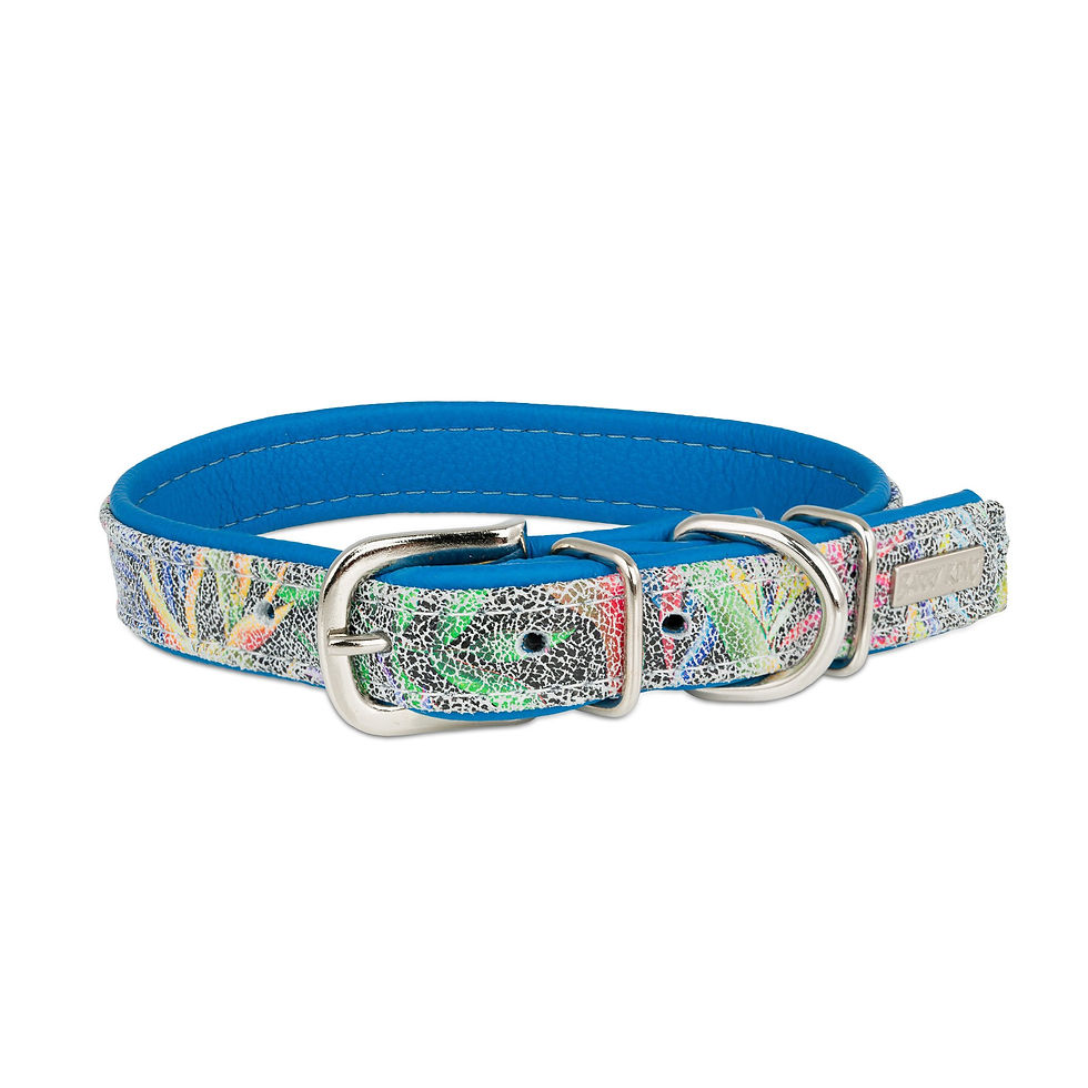 Thumbnail: Leash Pleciona Blue Storm – blue z odpinana handle 25mm/ 140cm