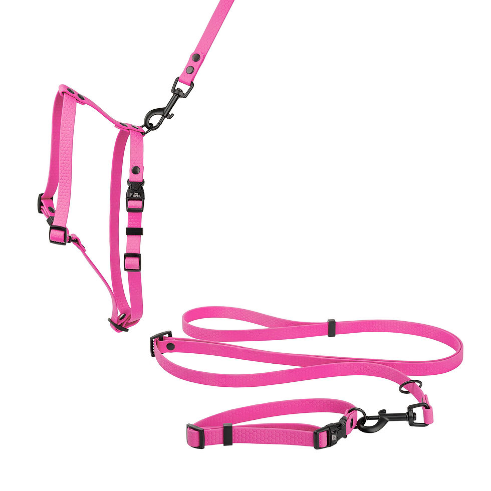 Thumbnail: Dog harness z wytrzysmallj gumy,pink,16mm/ 30-60cm