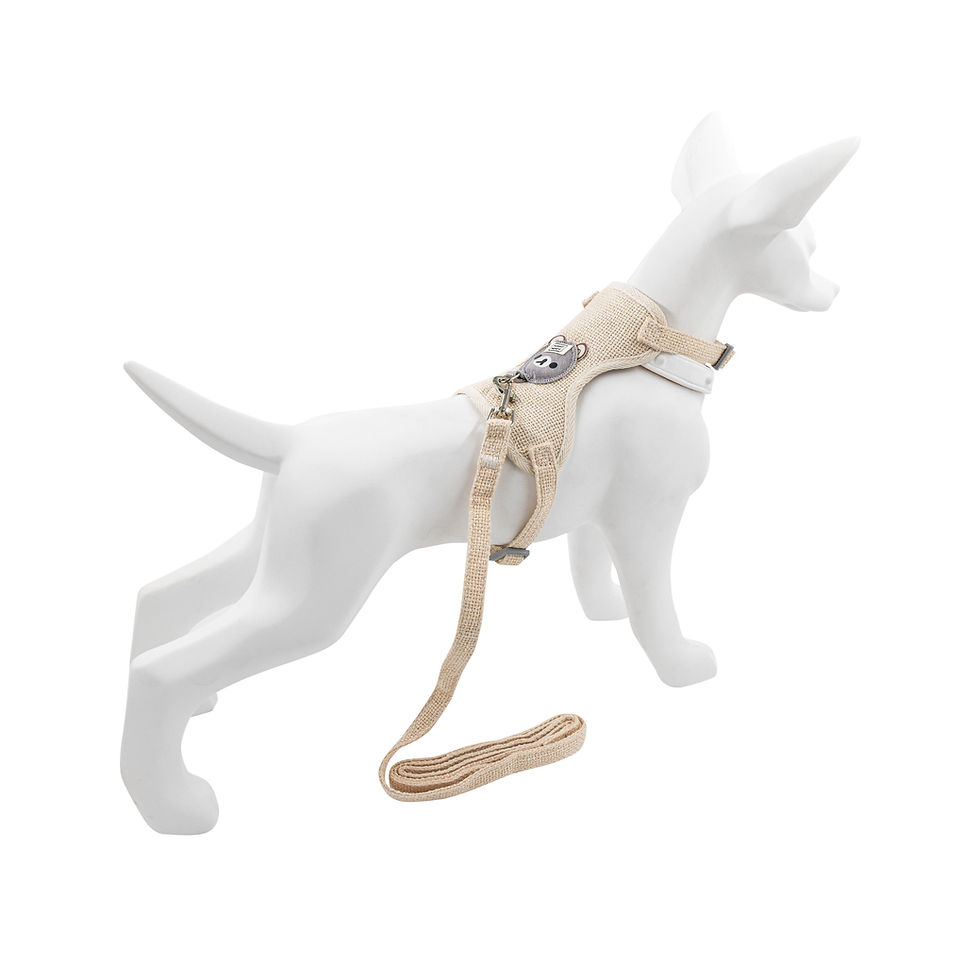 Thumbnail: Harness and leash set,for dogs cata,cream white,polyester bawelna