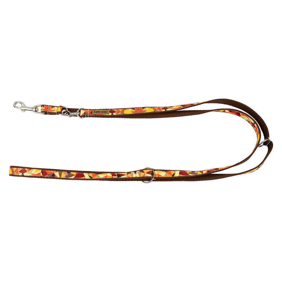Thumbnail: Dog leash,pattern autumn,adjustable,webbing,brown