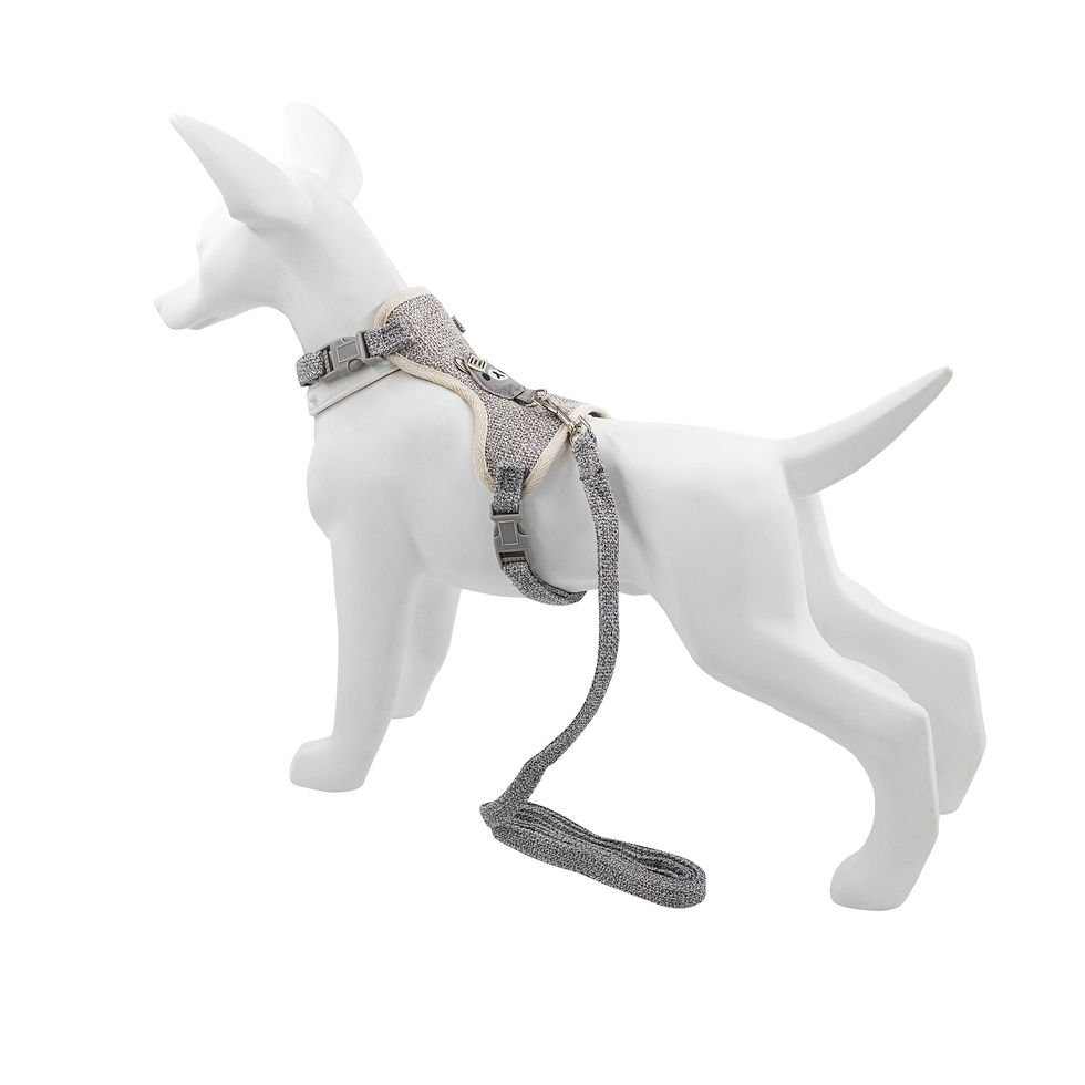 Thumbnail: Harness and leash set,for dogs cata,grey,polyester bawelna