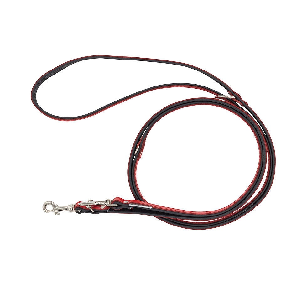 Thumbnail: Leash adjustable leather for dogs,red black