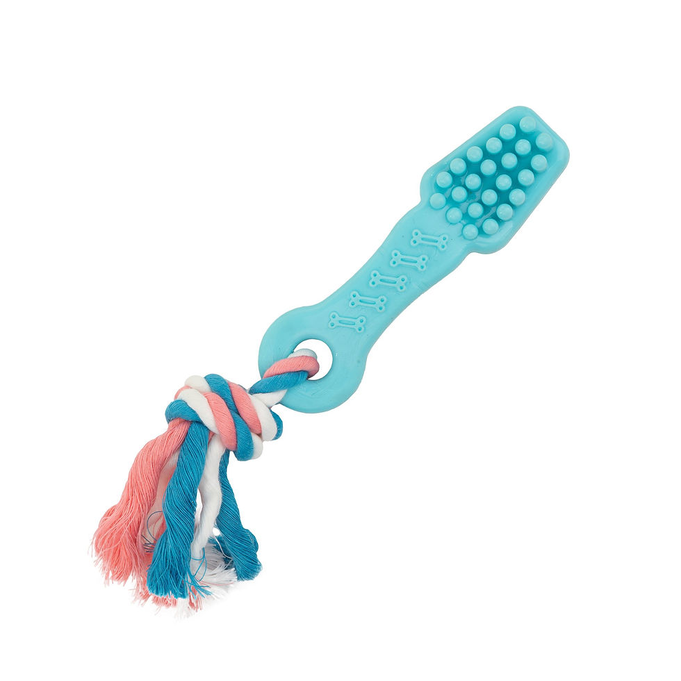 Thumbnail: Dog toy,szczoteczka,12,5 cm,with cotton rope