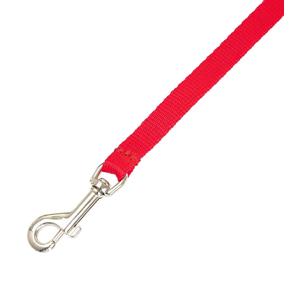 Thumbnail: Classic Leash adjustable for dogs,red