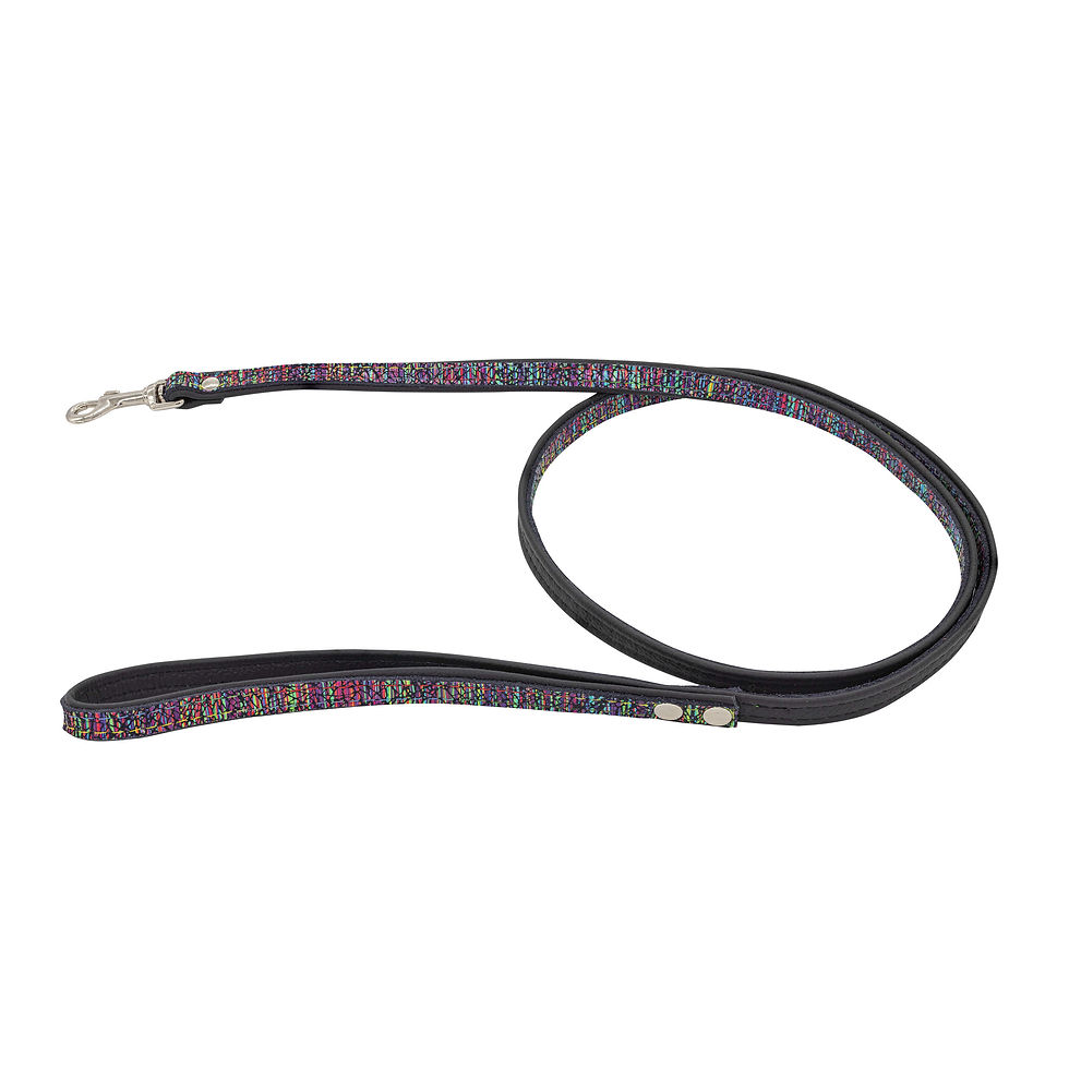 Thumbnail: Dog leash leather Laser