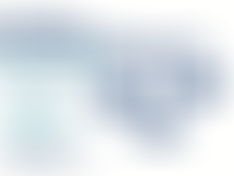 Employees & Public Affairs: Opportunity or Threat? The Internal Side of Public Affairs (61)