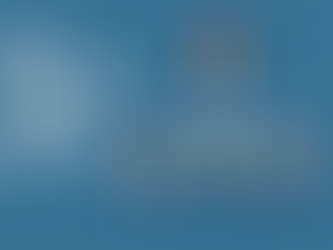 Why Reporting Lines Matter.The Internal Side of Public Affairs (2).