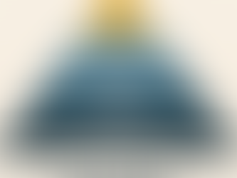 The Power of Vision and Mission Statements in Public Affairs.The Internal Side of Public Affairs (13)