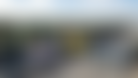 Olivenöl-Importe: Spanische Bauern warnen vor Betrug mit tunesischem Öl und fehlender Transparenz bei der Herkunft.