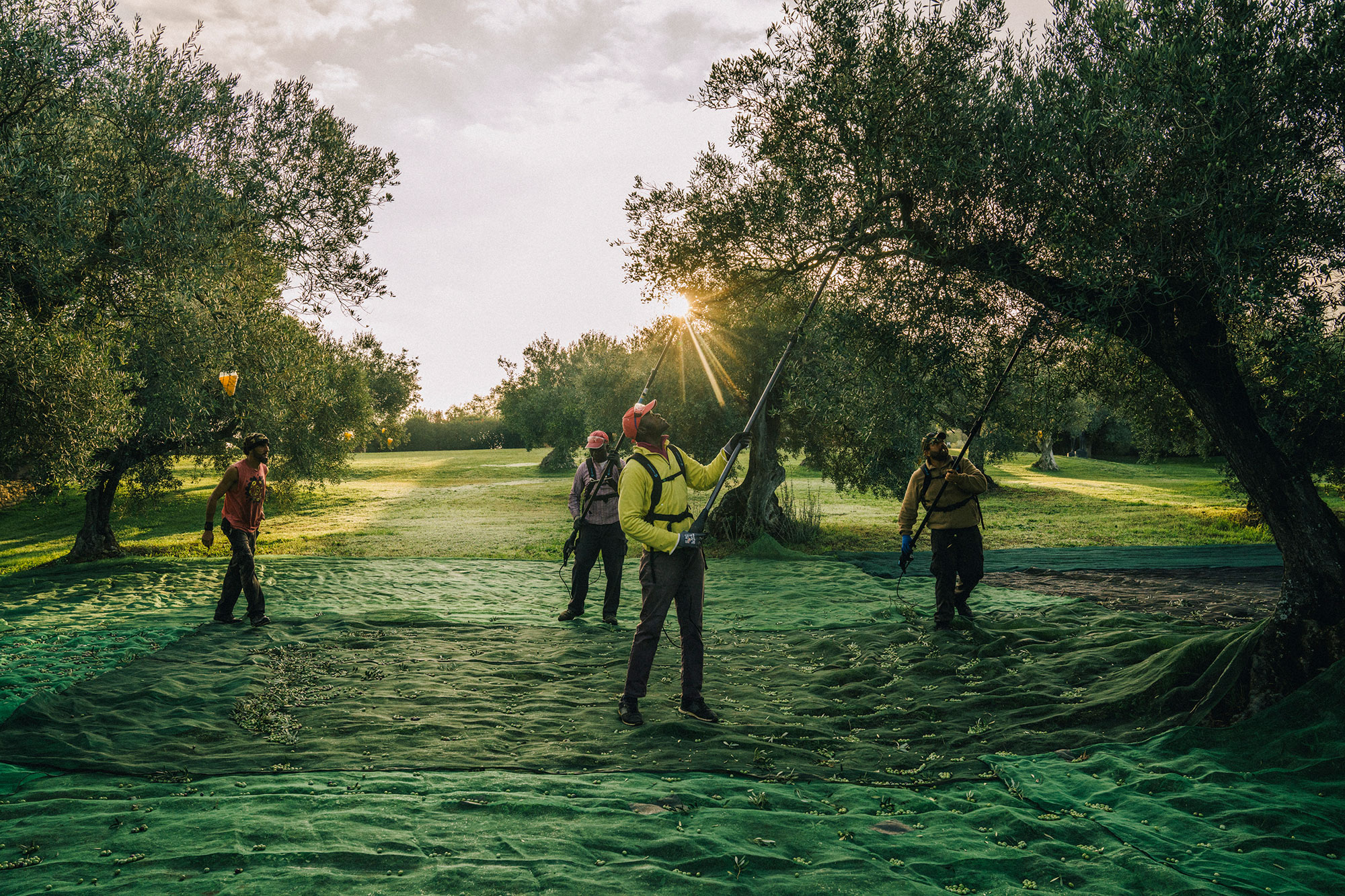 Autorenbild: Fontclara Blog