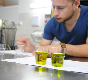 Olivenölanalyse evoo ag