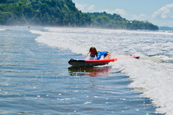 29343241_10213747396551420_706717618513379328_o