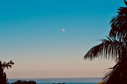 29314476_10213747393151335_8919578928310386688_o