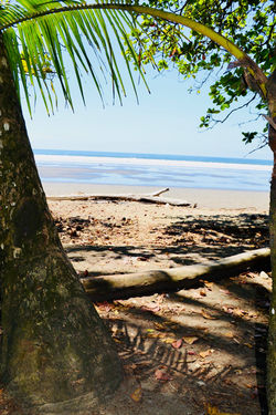 29356663_10213747398631472_3339681357218447360_o