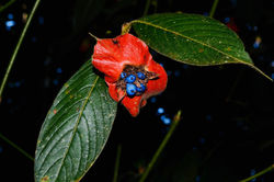 29343222_10213747396351415_9133574518487384064_o