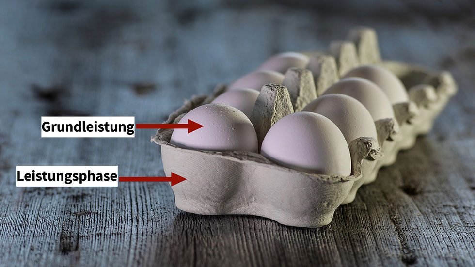 Leistungsphasen und Grundleistungen nach HOAI