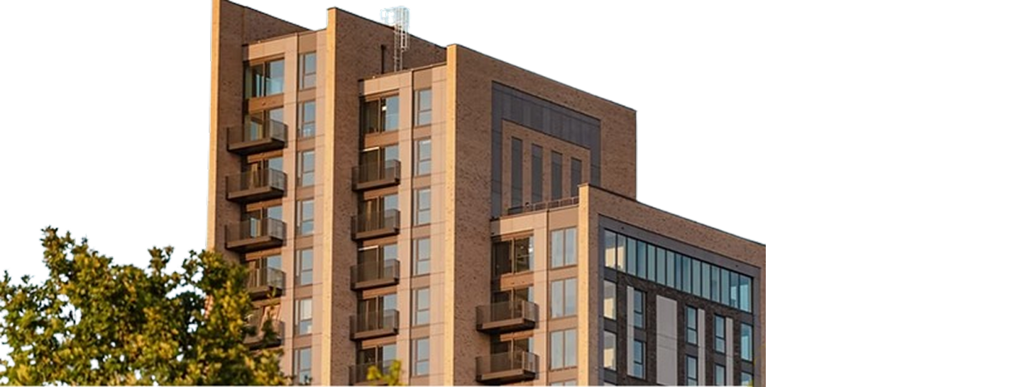 BG Building Back.png