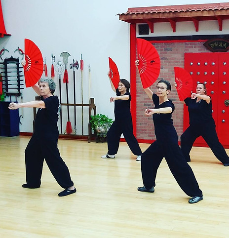 FL Wushu Kung Fu Academy (36).jpg