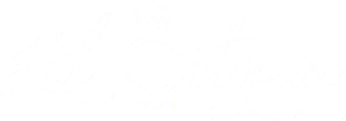 hot-full-logo-white.webp