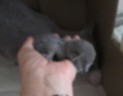 fullsizeoutput_23d.jpeg