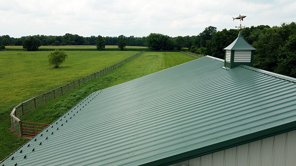 WeatherVane_Roof_field.jpg