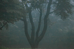 20200727_camp_select_12