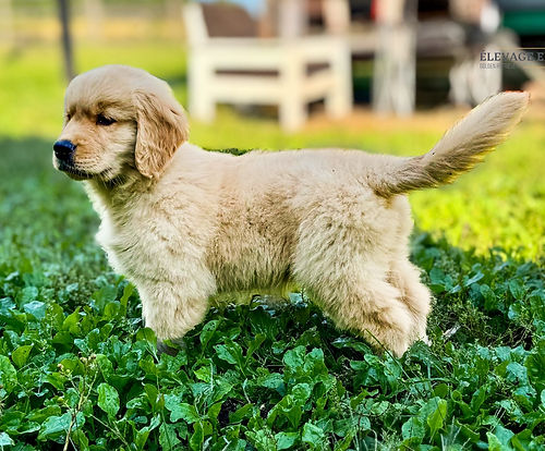 Photo 2025-09-01 09 19 33 (1) (1).jpg